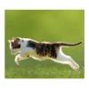 Banjado Herdabdeckungen|Kochfelder<Herdabdeckplatte Glas 1 Teilig 60x52CM Schneidebrett Herdabdeckung Mit Motiv Jagende Katze