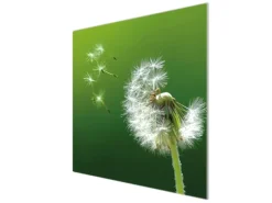 Banjado Herdabdeckplatte Glas 1 Teilig 60x52CM Schneidebrett Herdabdeckung Mit Motiv Pusteblume< Schneidebretter|Herdabdeckungen