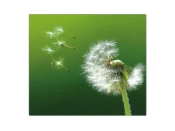 Banjado Herdabdeckplatte Glas 1 Teilig 60x52CM Schneidebrett Herdabdeckung Mit Motiv Pusteblume< Schneidebretter|Herdabdeckungen