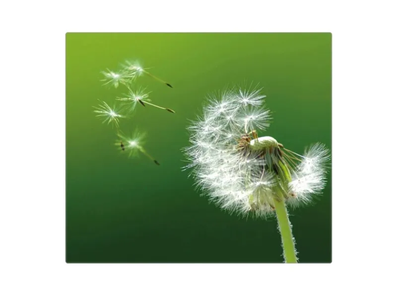 Banjado Herdabdeckplatte Glas 1 Teilig 60x52CM Schneidebrett Herdabdeckung Mit Motiv Pusteblume< Schneidebretter|Herdabdeckungen