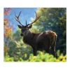 Banjado Herdabdeckungen|Kochfelder<Herdabdeckplatte Glas 1 Teilig 60x52CM Schneidebrett Herdabdeckung Mit Motiv Hirsch