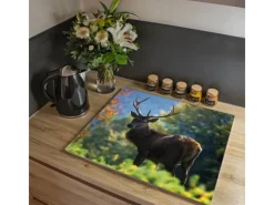 Banjado Herdabdeckungen|Kochfelder<Herdabdeckplatte Glas 1 Teilig 60x52CM Schneidebrett Herdabdeckung Mit Motiv Hirsch