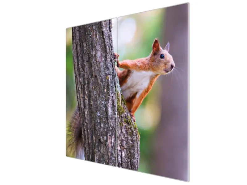 Discount Banjado Herdabdeckplatte Glas 2 Teilig Je 30x52CM Schneidebrett Herdabdeckung Mit Motiv Eichhörnchen