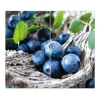 Banjado Herdabdeckungen|Schneidebretter<Herdabdeckplatte Glas 2 Teilig Je 30x52CM Schneidebrett Herdabdeckung Mit Motiv Blaubeeren