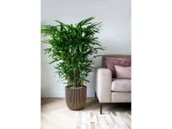Capi Pflanztopf Kugel Groove Ø 43 cm x 41 cm Gold-Schwarz< Töpfe