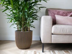 Capi Pflanztopf Kugel Groove Ø 43 cm x 41 cm Gold-Schwarz< Töpfe