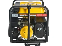 Champion Stromerzeuger AVR Technologie CPG3500E2-DF-EU DualFuel 2800 W< Kühlschränke