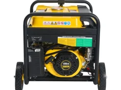 Champion Stromerzeuger AVR Technologie CPG3500E2-DF-EU DualFuel 2800 W< Kühlschränke