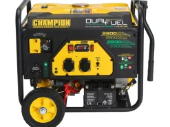 Champion Stromerzeuger AVR Technologie CPG3500E2-DF-EU DualFuel 2800 W< Kühlschränke