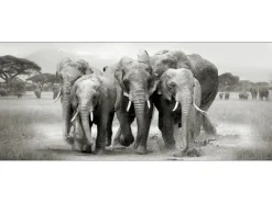 Hot Pro Art Deco Panel Anonymus Elephant Herd 117 cm x 49 cm