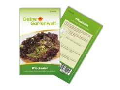 Deine Gartenwelt Pflücksalat Lollo Rossa Samen< Kühlschränke