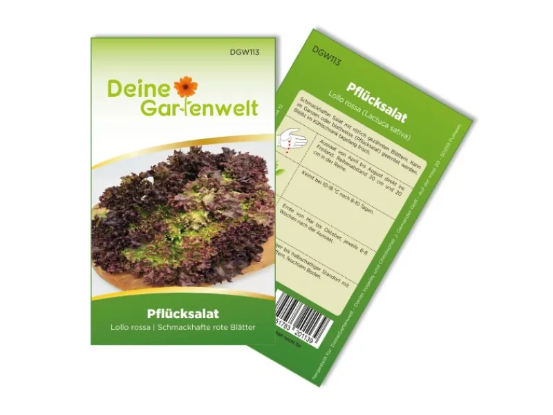 Deine Gartenwelt Pflücksalat Lollo Rossa Samen< Kühlschränke