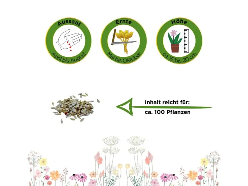 Deine Gartenwelt Pflücksalat Lollo Rossa Samen< Kühlschränke