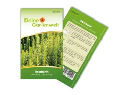 Deine Gartenwelt Rosmarin Samen< Töpfe