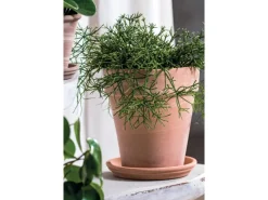 Deroma Pflanztopf Alto Duo Ø 22 cm x 25 cm White gestreift< Töpfe