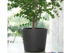 Deroma Töpfe<Pflanztopf Millennium mir Rollen Ø 59 cm