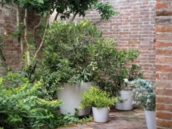 Deroma Pflanztopf Origin Plant Pot 24 cm Hellgrau< Töpfe