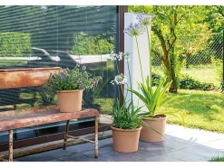 Deroma Töpfe<Pflanztopf Zylinder Bordato 38 cm Weiß