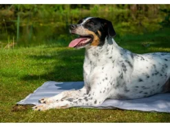 Dobar Große Kühlmatte für Hunde mit Pfoten Muster 99,5 x 70 cm Grau< Kühlschränke