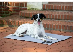 Dobar Große Kühlmatte für Hunde mit Pfoten Muster 99,5 x 70 cm Grau< Kühlschränke