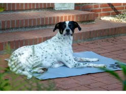 Dobar Große Kühlmatte für Hunde mit Pfoten Muster 99,5 x 70 cm Grau< Kühlschränke