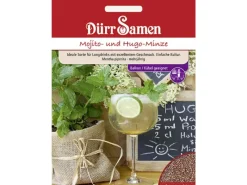 Töpfe<Dürr Samen Mojito- Und Hugo-Minze Saatgut