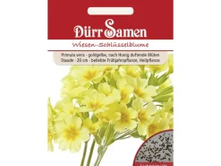 Kühlschränke<Dürr Samen Wiesen-Schlüsselblume Goldgelbe Nach Honig Duftende Blüten Mehrjährig Saatgut