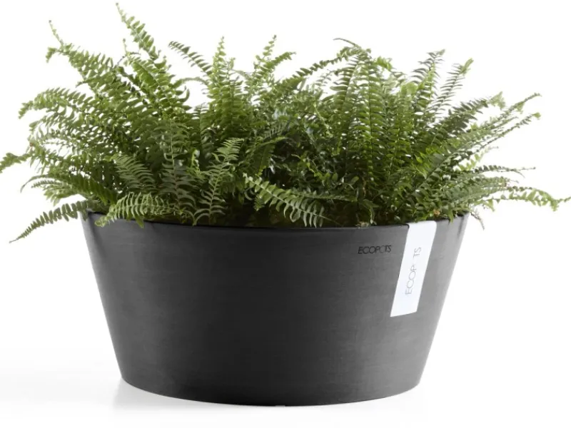 Ecopot s Pflanzschale Frankfurt 40 cm< Töpfe