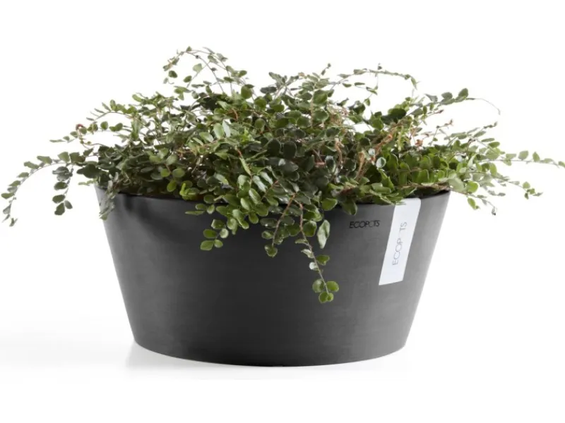 Ecopot s Pflanzschale Frankfurt 40 cm< Töpfe