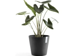 New Ecopots Pflanztopf Amsterdam Ø 40 cm / Höhe 35 cm Dunkelgrau