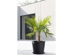 New Ecopots Pflanztopf Amsterdam Ø 40 cm / Höhe 35 cm Dunkelgrau