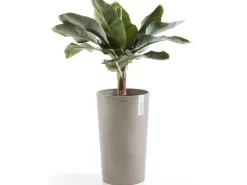Best Ecopot s Pflanztopf Amsterdam halbhoch Braungrau 50 cm