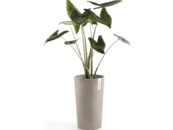 Best Ecopot s Pflanztopf Amsterdam halbhoch Braungrau 50 cm