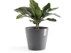 Clearance Ecopots Pflanztopf Amsterdam Ø 30 cm x 26 cm Grau