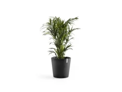 Ecopots Töpfe<Pflanztopf Amsterdam 50 cm x 43,8 cm