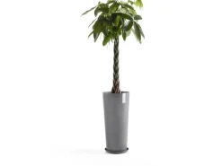 Ecopots Töpfe<Pflanztopf Amsterdam High Ø 32,5 cm Grau