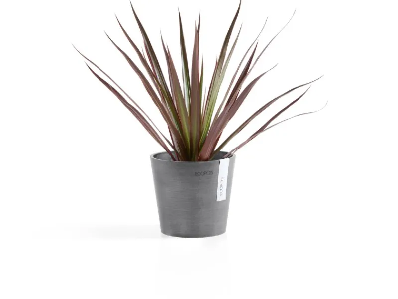 Ecopot Töpfe<s Pflanztopf Amsterdam Ø 13 cm x 11 cm Grau
