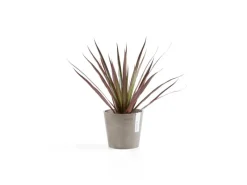 Ecopots Pflanztopf Amsterdam Mini 13 cm x 11,4 cm< Töpfe