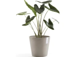 Ecopot s Pflanztopf Amsterdam 40 cm Braungrau