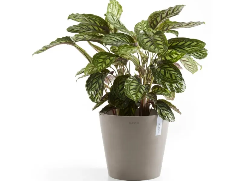 Ecopot s Pflanztopf Amsterdam 40 cm Braungrau