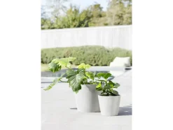 Hot Ecopots Pflanztopf Amsterdam 20 cm x 17,5 cm Weiß