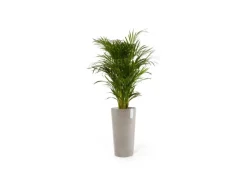 New Ecopots Pflanztopf Amsterdam Halbhoch 34 cm x 66 cm Taupe