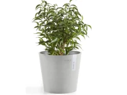 Ecopot s Pflanztopf Amsterdam Mini 17 cm< Töpfe