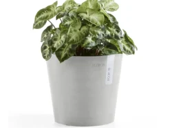 Ecopot s Pflanztopf Amsterdam Mini 17 cm< Töpfe