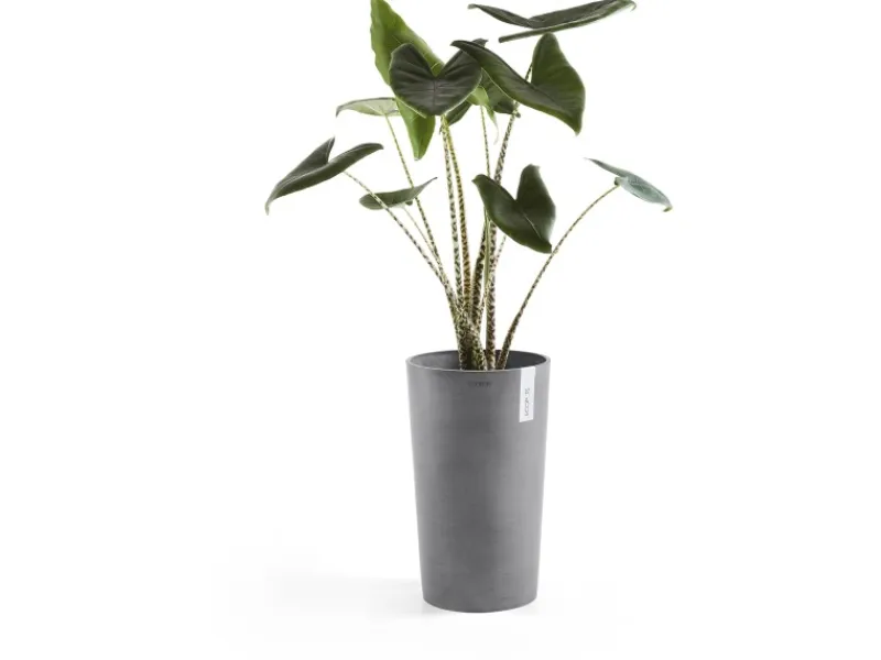 Ecopot Töpfe<s Pflanztopf Amsterdam Ø 30 cm x 50 cm Grau