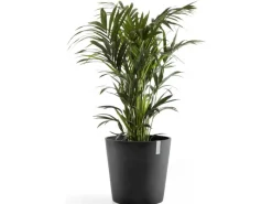 Ecopot s Pflanztopf Amsterdam 50 cm< Töpfe