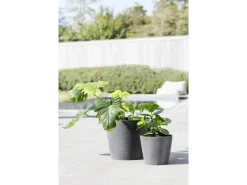 Ecopots Töpfe<Pflanztopf Amsterdam 30 cm x 26 cm