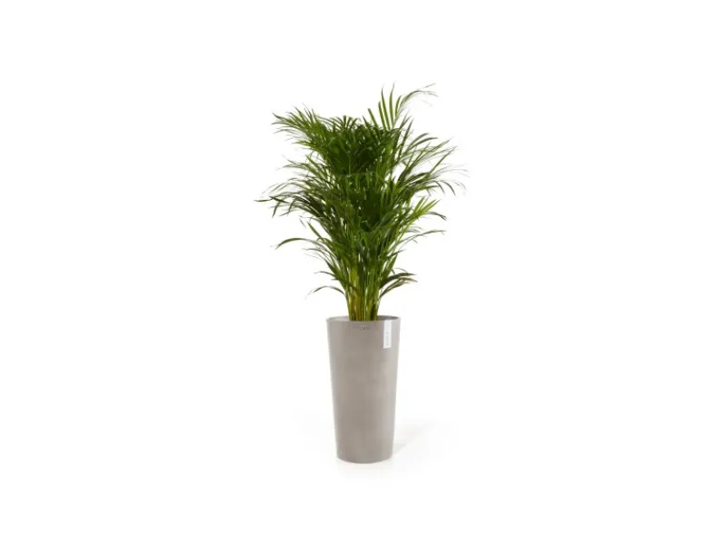 Ecopots Töpfe<Pflanztopf Amsterdam Extrahoch 50 cm x 90 cm