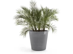 Ecopots Pflanztopf Amsterdam mit Rollen Ø 60 cm Grau< Töpfe