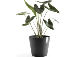 Ecopots Töpfe<Pflanztopf Amsterdam Ø 30 cm / Höhe 26,3 cm